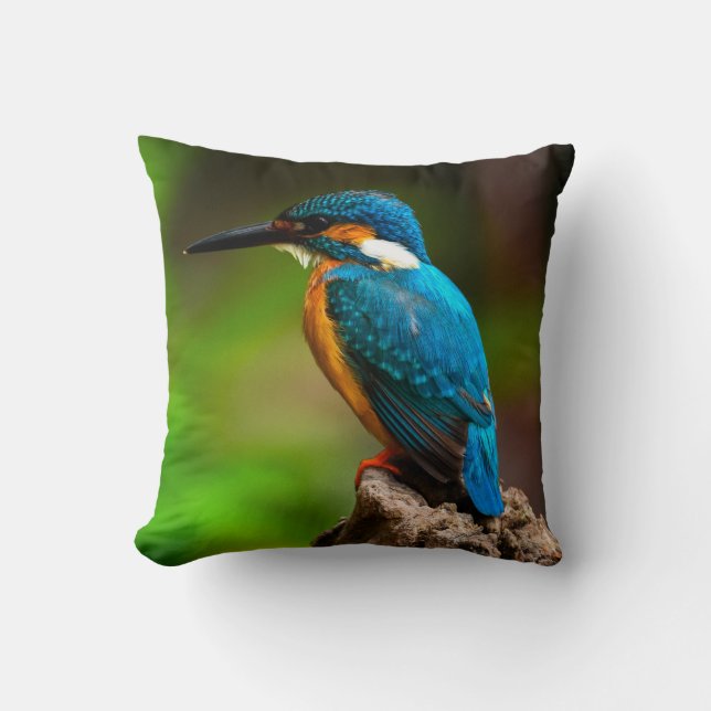 Ijsvogel vogel natuur kussen (Voorkant)