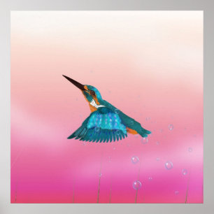 ijsvogel Vogel Poster