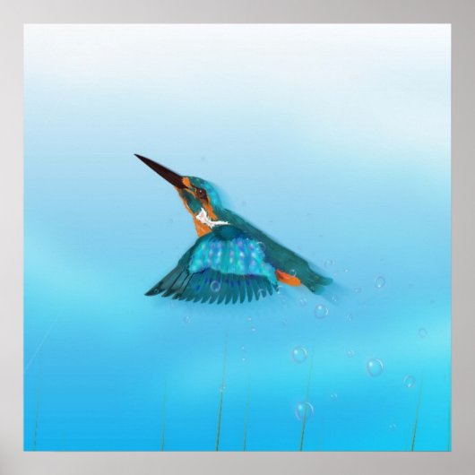 ijsvogel Vogel Poster (Voorkant)