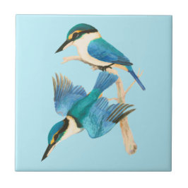 IJsvogel Vogels Aquarel Blauw Tegeltje