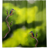 ijsvogels op takken douchegordijn (Voorkant)