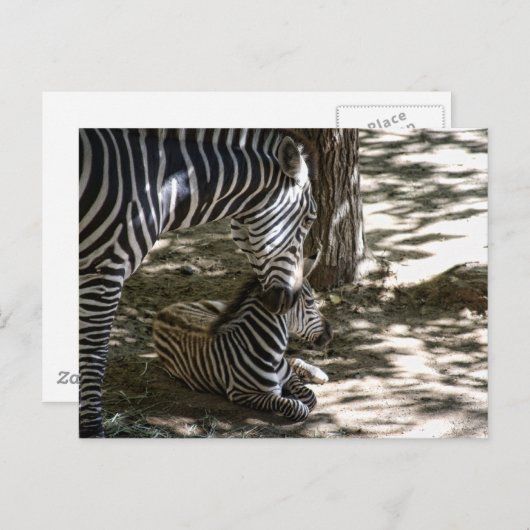 ijver briefkaart (Voorkant / Achterkant)