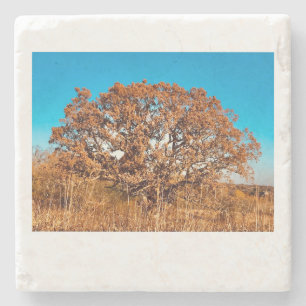 IJzeren eikel met Herfst Zonneopruimsteen Onderzet Stenen Onderzetter