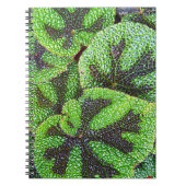 IJzeren Kruis Begonia Bloem Notitieboek (Voorkant)