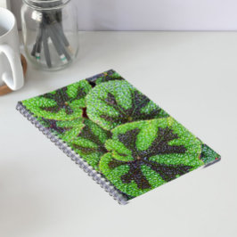 IJzeren Kruis Begonia Bloem Notitieboek