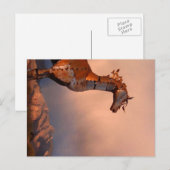 "IJzeren paard" Briefkaart (Voorkant / Achterkant)