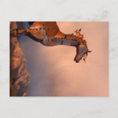"IJzeren paard" Briefkaart (Voorkant)