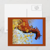 "IJzeren paard" Briefkaart (Voorkant / Achterkant)