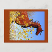 "IJzeren paard" Briefkaart (Voorkant)