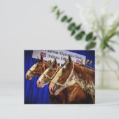 IJzeren paarden 3 Briefkaart (Staand voorkant)