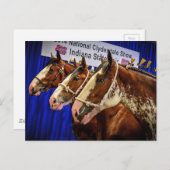 IJzeren paarden 3 Briefkaart (Voorkant / Achterkant)