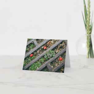 IJzeren rooster & bessen - Notecard Kaart