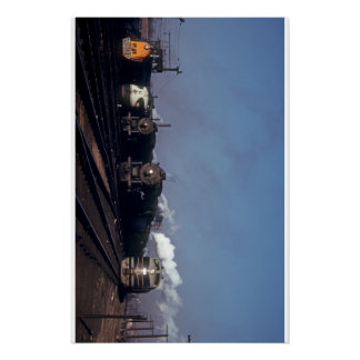 IJzerpaarden in Ivy City, Washington, DC. Perfect Poster