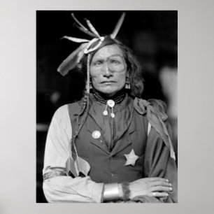 IJzerwit Man: 1900 Poster