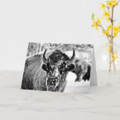 Ijzige Bizon Yellowstone Kaart (Gele Bloem)