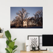 IJzige bomen met achtergrondverlichting Poster (Thuiskantoor)
