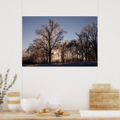 IJzige bomen met achtergrondverlichting Poster (Keuken)