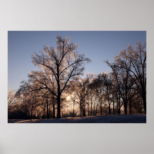 IJzige bomen met achtergrondverlichting Poster (Voorkant)