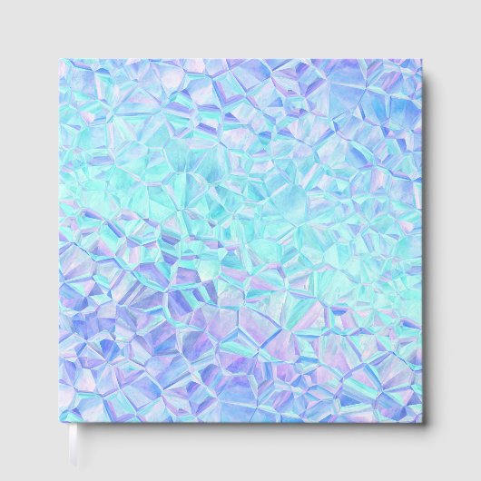 ijzige iridescentie : gastenboek (Voorkant)