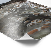 Ijzige Voetafdruk in de Rivier Foto Afdruk (Hoek)