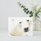 IJzigheid van een polair beer Briefkaart (Staand voorkant)