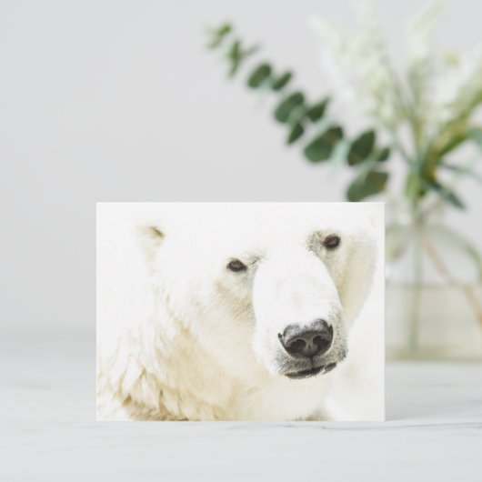 IJzigheid van een polair beer Briefkaart (Staand voorkant)