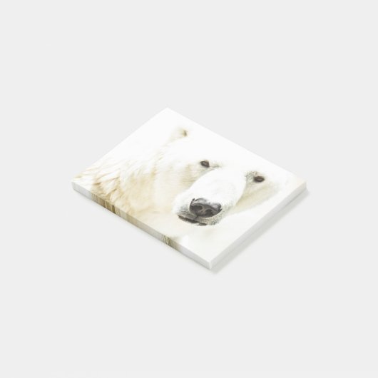 IJzigheid van een polair beer Post-it® Notes (Schuin)