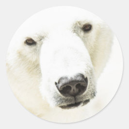 IJzigheid van een Polair Beer Ronde Sticker