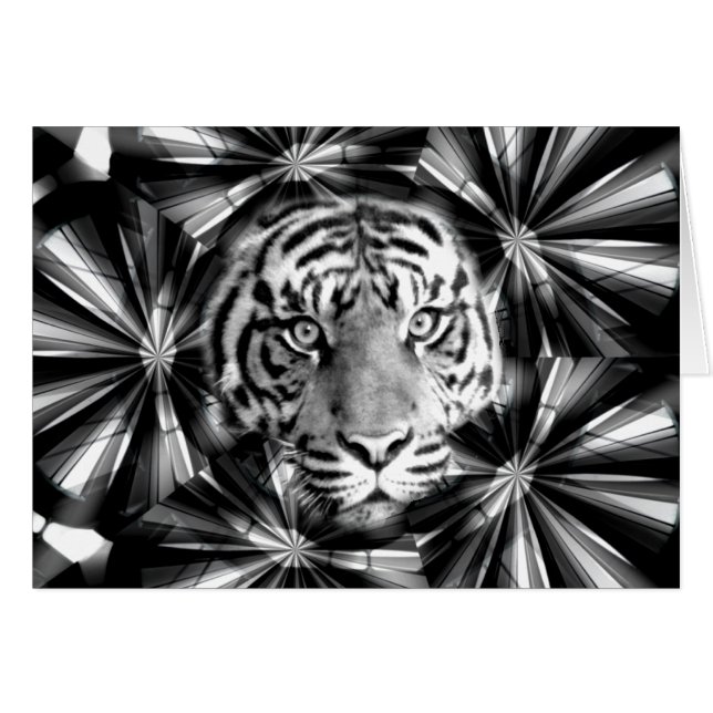 Ik accepteer_ (Voorkant Horizontaal)