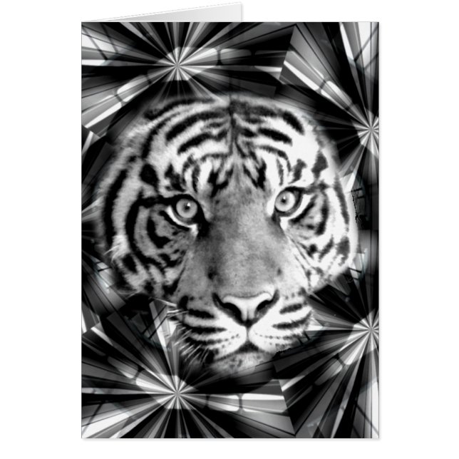 Ik accepteer_ (Voorkant)