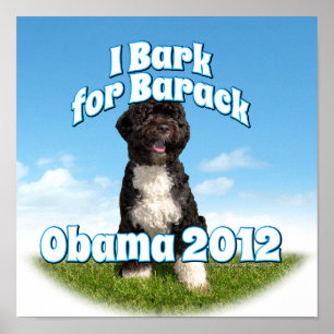 Ik barak voor Barack, Bo de eerste hond Obama Poster