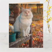 IK BEDANK GOD BIJ ELKE HERINNERING AAN JOU KAT KAA KAART (Gele Bloem)