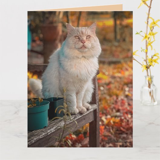 IK BEDANK GOD BIJ ELKE HERINNERING AAN JOU KAT KAA KAART (Gele Bloem)