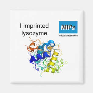 Ik bedrukt lysozyme magnet