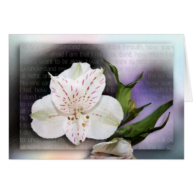 Ik begrijp het (Voorkant Horizontaal)