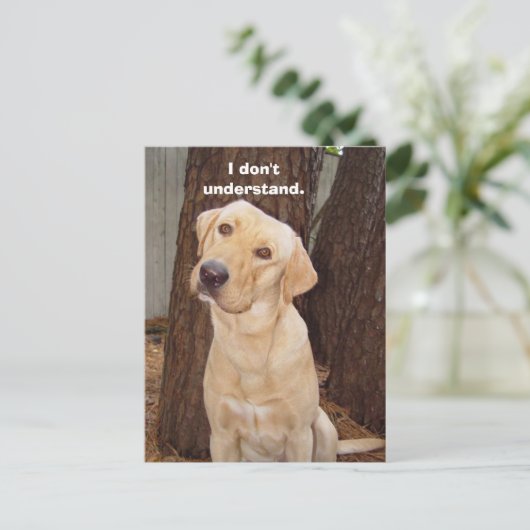 Ik begrijp het niet. briefkaart (Staand voorkant)