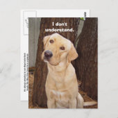 Ik begrijp het niet. briefkaart (Voorkant / Achterkant)