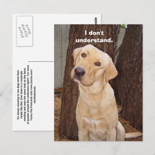 Ik begrijp het niet. briefkaart (Voorkant / Achterkant)