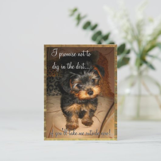 Ik beloof  Briefkaart (Staand voorkant)