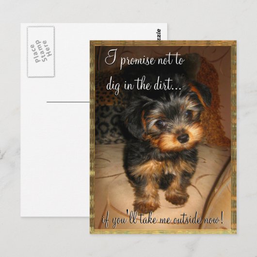 Ik beloof  Briefkaart (Voorkant / Achterkant)