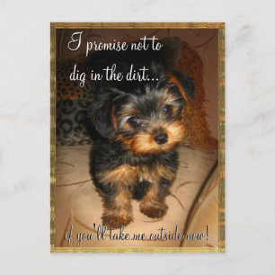 Ik beloof  Briefkaart