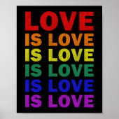 Ik beloof u dat ik LGBT-Q Pride Proud Ally Poster (Voorkant)