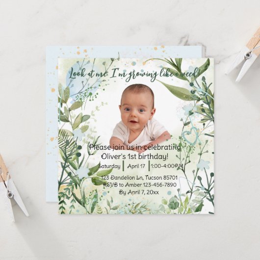 Ik ben aan het groeien als een wiet, 1e verjaardag (Voorkant / Achterkant in situ)