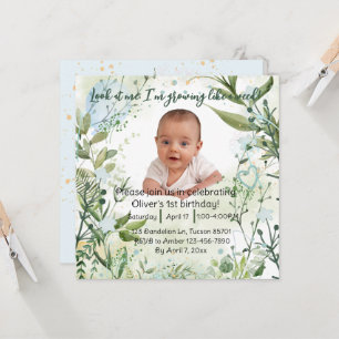 Ik ben aan het groeien als een wiet, 1e verjaardag