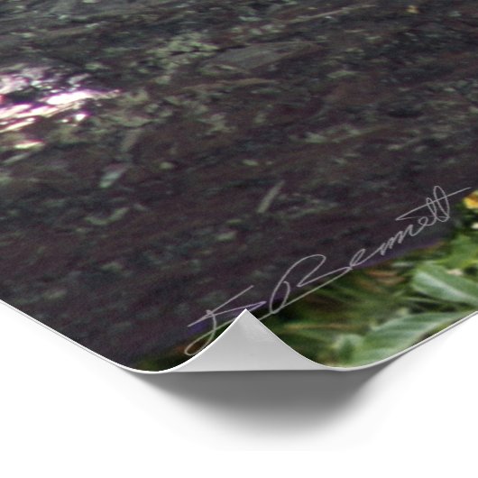 Ik ben alleen Ducky. Poster -36x24 -andere maten o (Hoek)