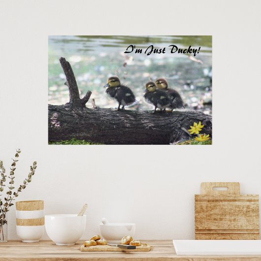 Ik ben alleen Ducky. Poster -36x24 -andere maten o (Keuken)