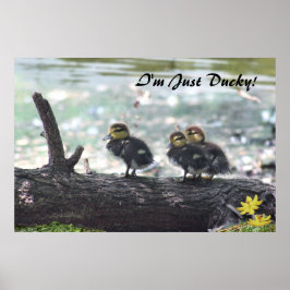 Ik ben alleen Ducky. Poster -36x24 -andere maten o
