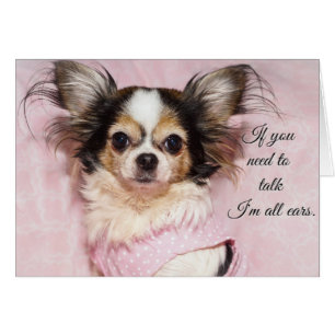 Ik ben allemaal oorlogen