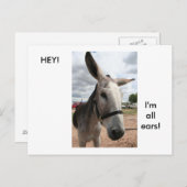 Ik ben allemaal oorlogen briefkaart (Voorkant / Achterkant)