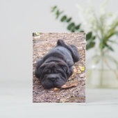 Ik ben allemaal uitgespeeld. briefkaart (Staand voorkant)